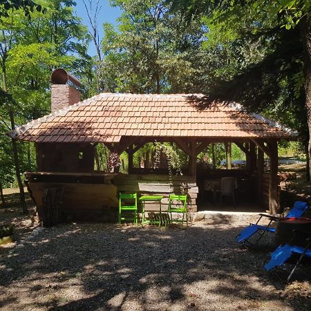 Konaciste Mali Izvor Villa Boljevac Exterior photo