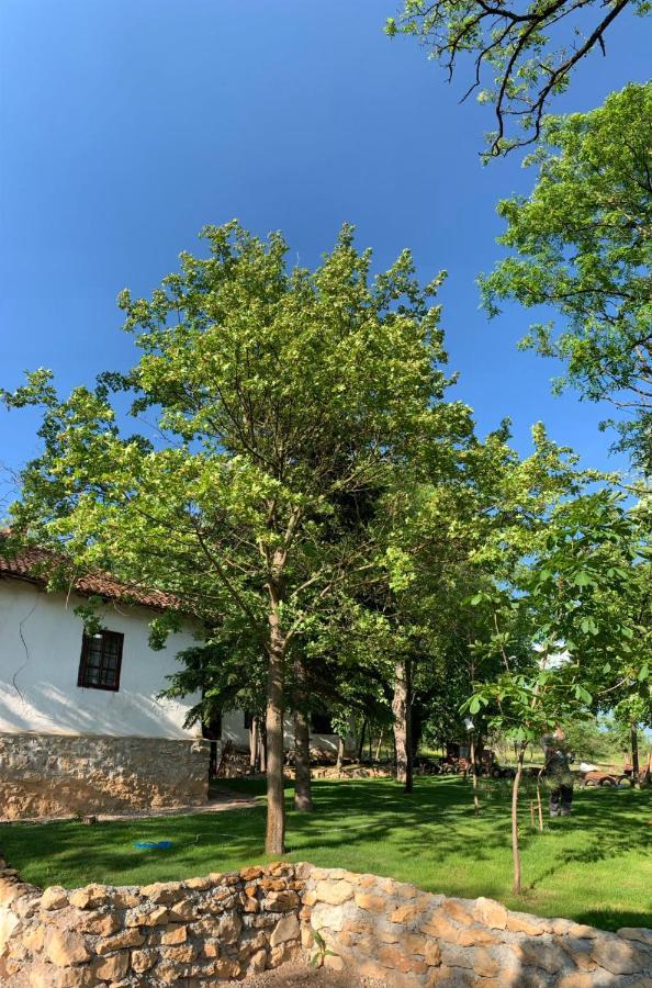 Konaciste Mali Izvor Villa Boljevac Exterior photo