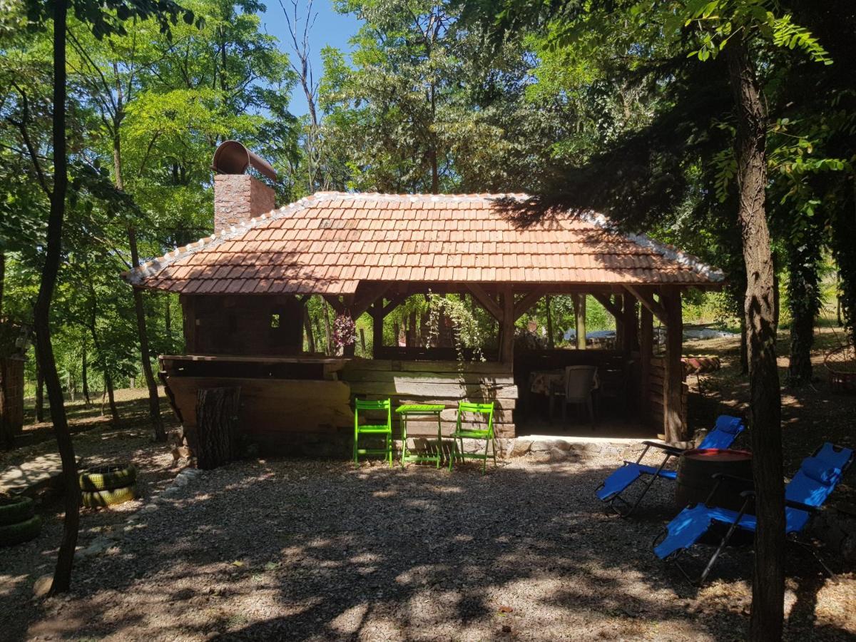 Konaciste Mali Izvor Villa Boljevac Exterior photo